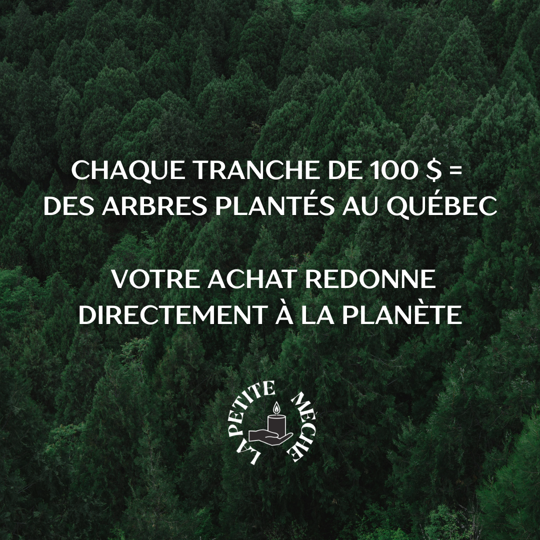 Coffret - Forêt boréale