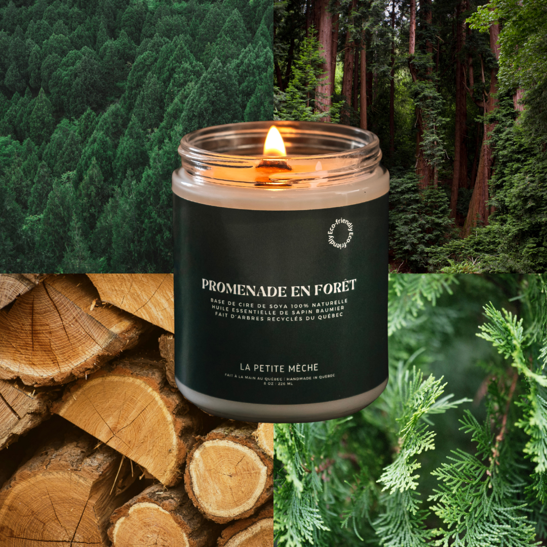 Coffret - Forêt boréale