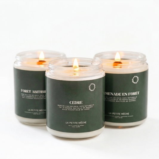 Coffret forêts du Québec