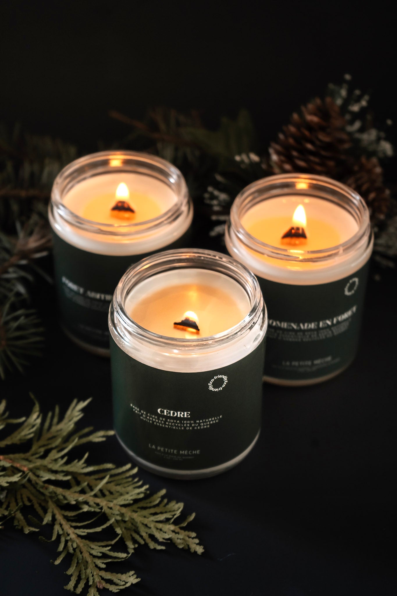 Coffret - Forêt boréale