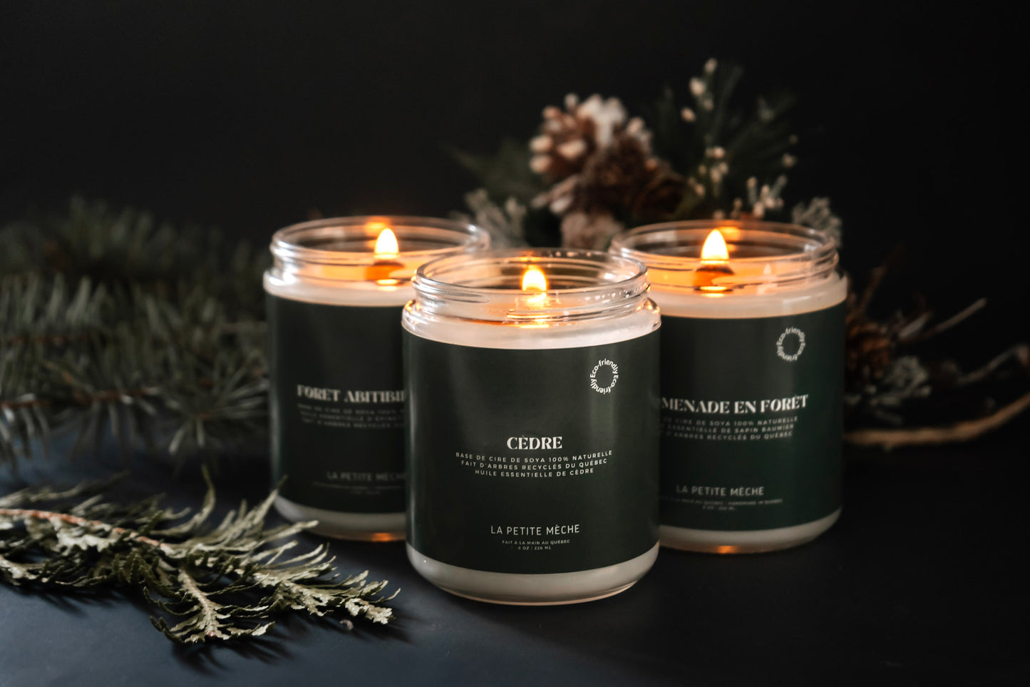 Coffret forêts du Québec